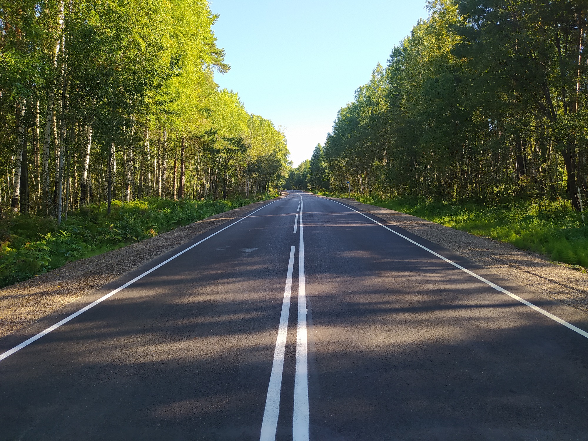 Край дороги. Автодорога Красноярск Енисейск. Вдоль дороги. Дорога вдоль. Автодорога Енисейск-Погодаево-Баженово.